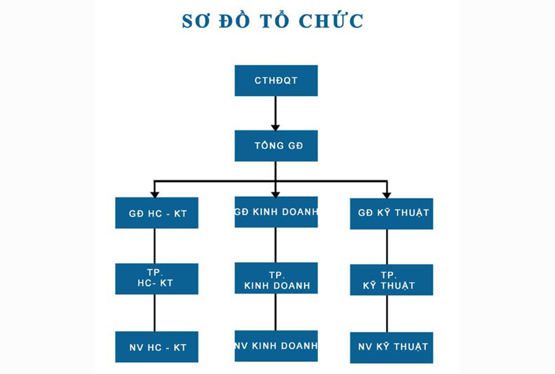 ORGANIZATIONAL STRUCTURE